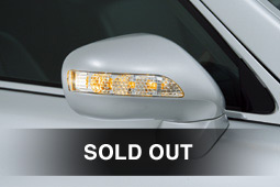 LED Blinker Mirrors